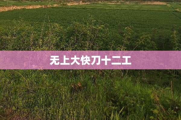 无上大快刀十二工