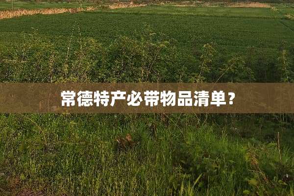 常德特产必带物品清单？