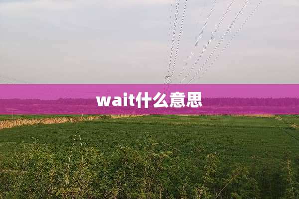wait什么意思