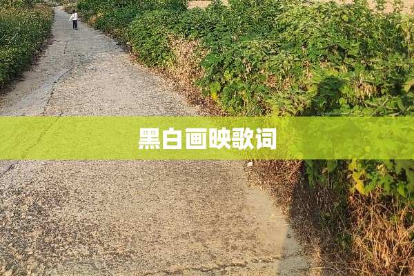 黑白画映歌词