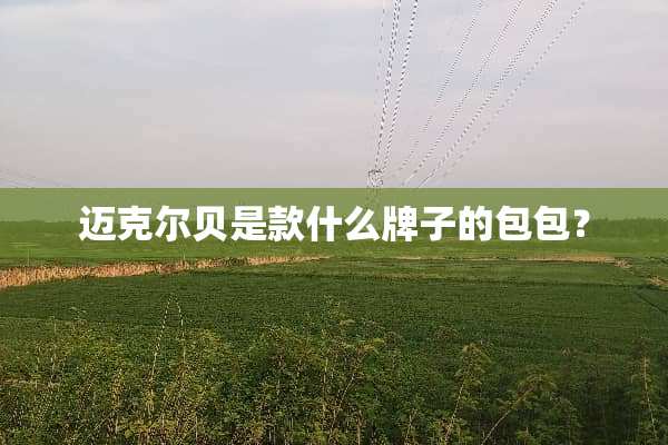迈克尔贝是款什么牌子的包包？