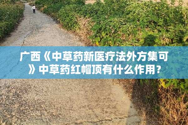 广西《中草药新医疗法外方集可》中草药红帽顶有什么作用？