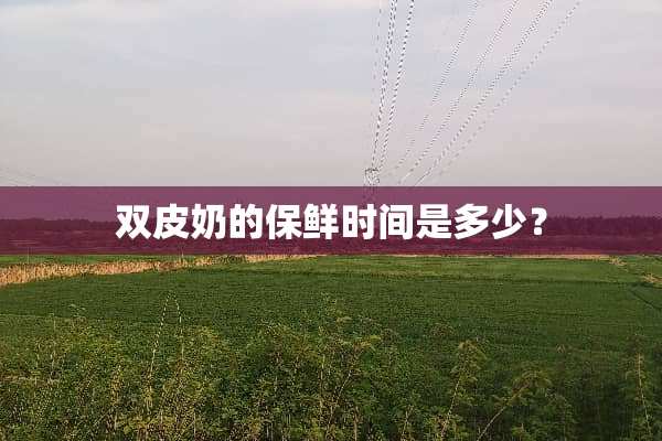 双皮奶的保鲜时间是多少？