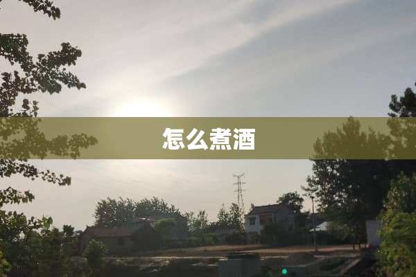 怎么煮酒