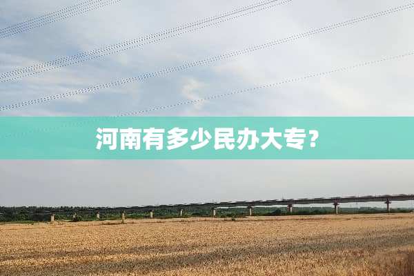 河南有多少民办大专？