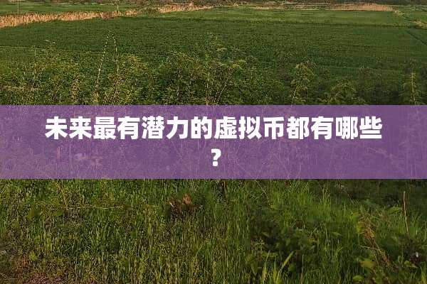 未来最有潜力的虚拟币都有哪些？