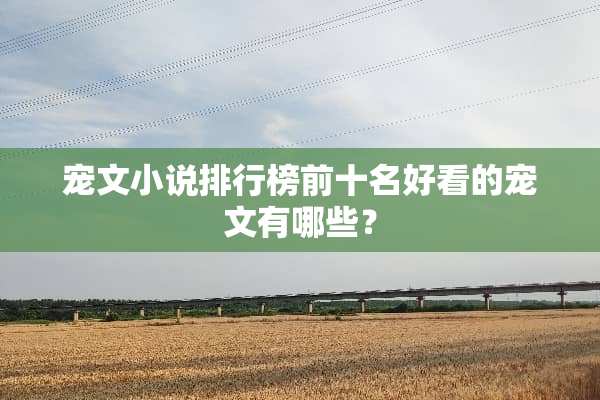 宠文小说排行榜前十名好看的宠文有哪些？