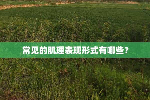 常见的肌理表现形式有哪些？