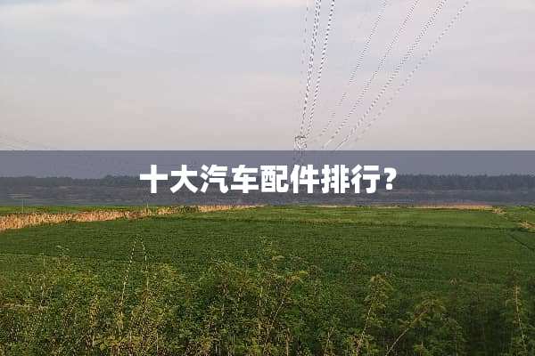 十大汽车配件排行？