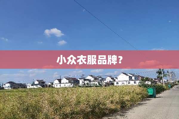 小众衣服品牌？