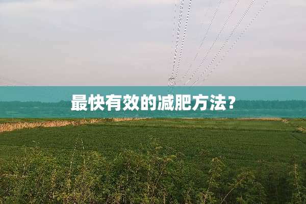 最快有效的减肥方法？