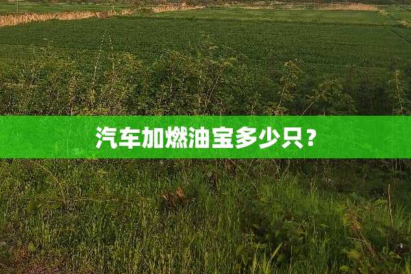 汽车加燃油宝多少只？