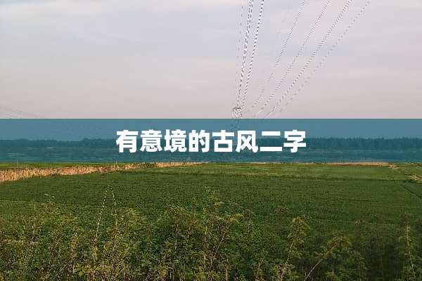 有意境的古风二字