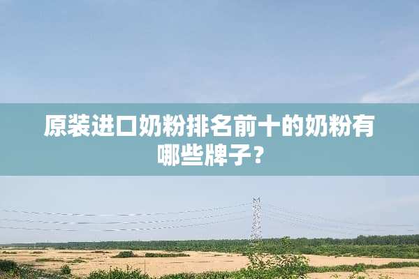 原装进口奶粉排名前十的奶粉有哪些牌子？