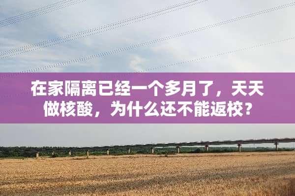 在家隔离已经一个多月了，天天做核酸，为什么还不能返校？