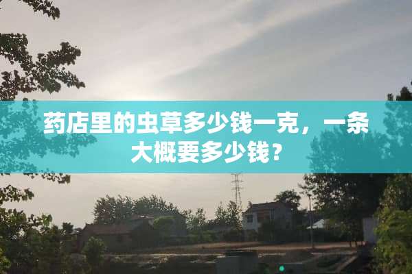 药店里的虫草多少钱一克，一条大概要多少钱？