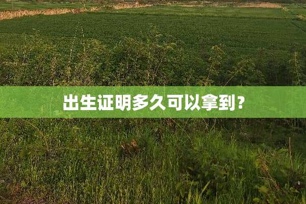 出生证明多久可以拿到？