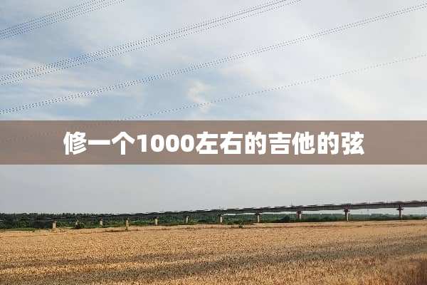 修一个1000左右的吉他的弦