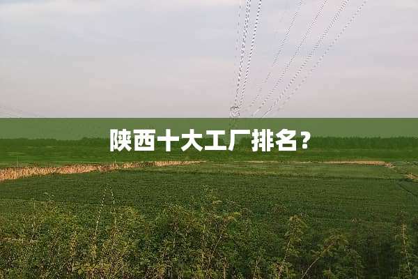 陕西十大工厂排名？