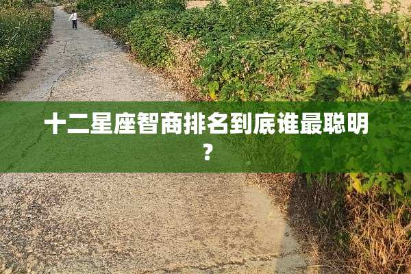十二星座智商排名到底谁最聪明？