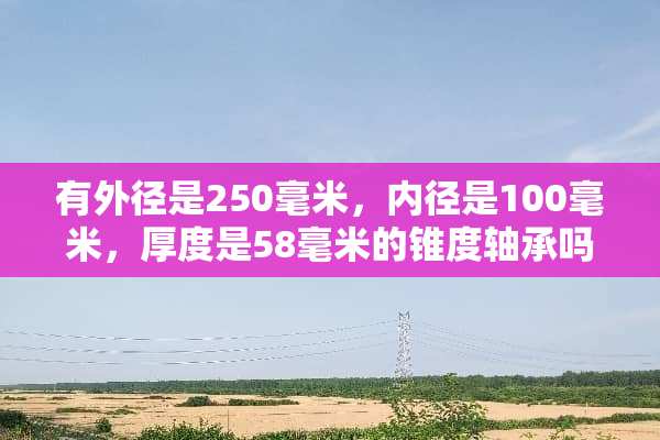 有外径是250毫米，内径是100毫米，厚度是58毫米的锥度轴承吗？型号是什么？