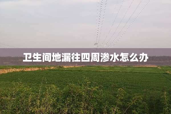 卫生间地漏往四周渗水怎么办