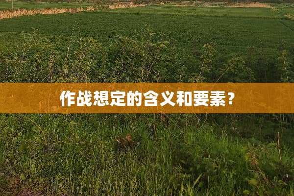 作战想定的含义和要素？