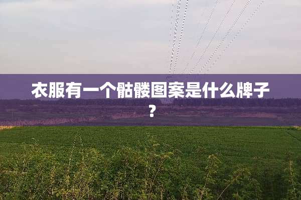 衣服有一个骷髅图案是什么牌子？