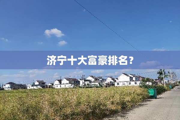 济宁十大富豪排名？