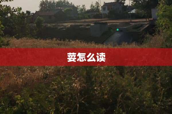 荽怎么读