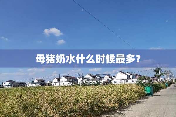 母猪奶水什么时候最多？