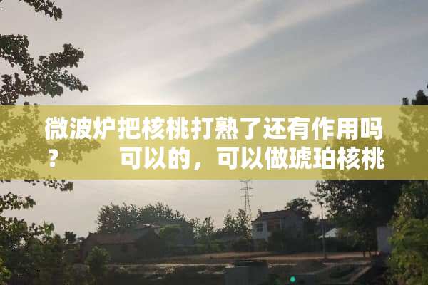 微波炉把核桃打熟了还有作用吗？　　可以的，可以做琥珀核桃仁：　　做琥珀核桃仁