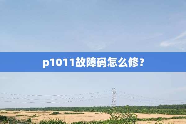 p1011故障码怎么修？