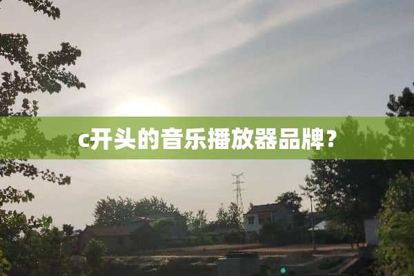 c开头的音乐播放器品牌？