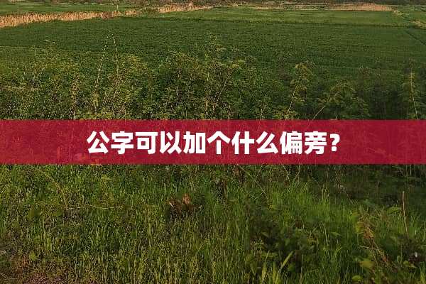 公字可以加个什么偏旁？