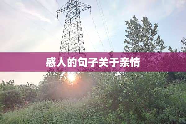 感人的句子关于亲情