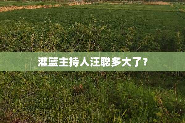灌篮主持人汪聪多大了？