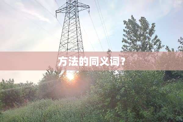 方法的同义词？