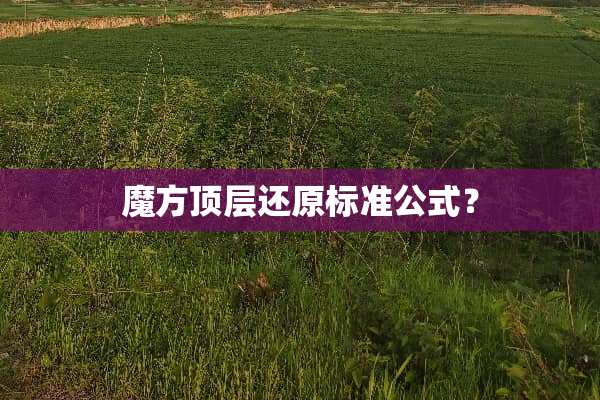 魔方顶层还原标准公式？