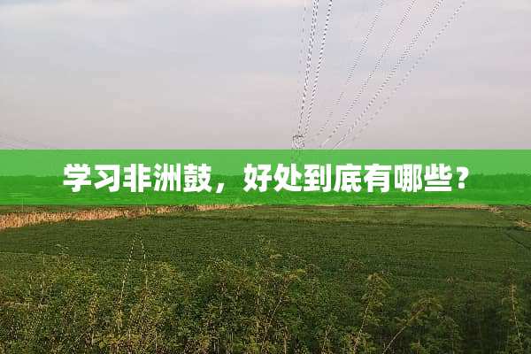 学习非洲鼓，好处到底有哪些？