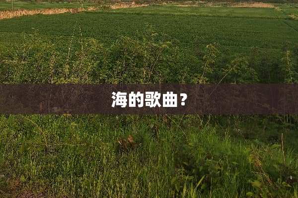 海的歌曲？