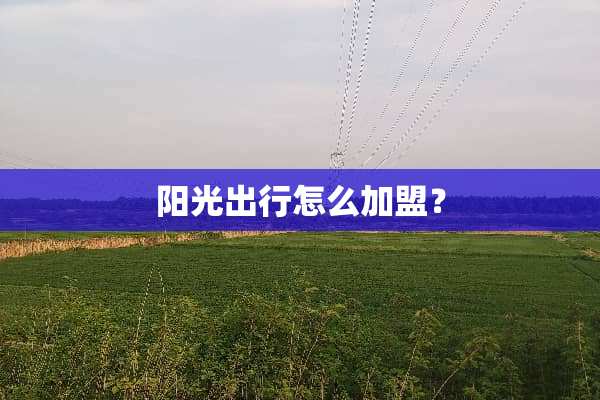 阳光出行怎么加盟？