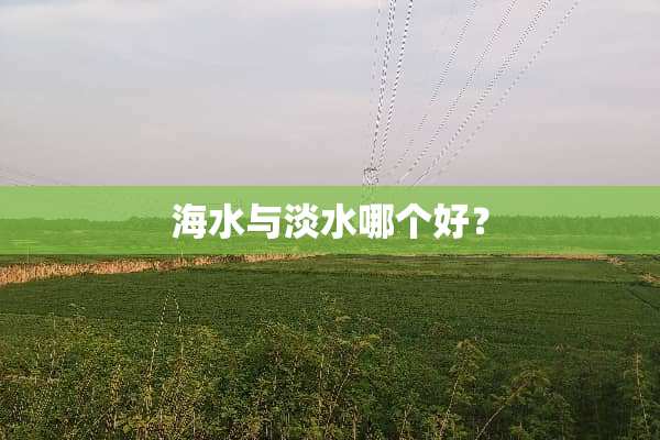 海水与淡水哪个好？