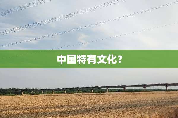 中国特有文化？