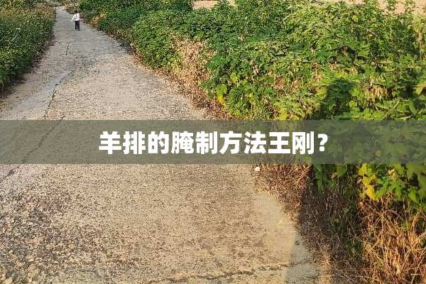 羊排的腌制方法**？
