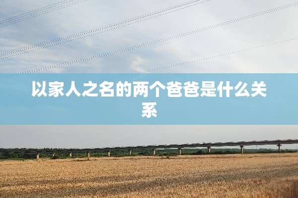 以家人之名的两个爸爸是什么关系