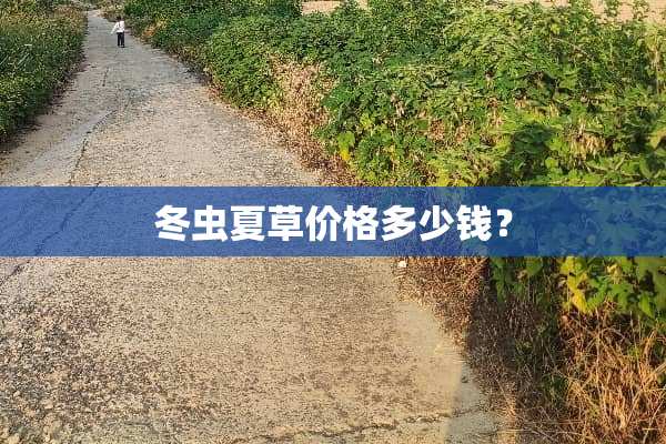 冬虫夏草价格多少钱？
