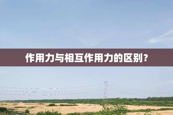 作用力与相互作用力的区别？