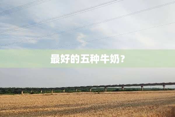最好的五种牛奶？
