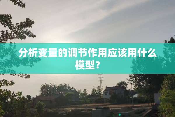 分析变量的调节作用应该用什么模型？